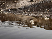 Русло Ханун затоплено сточными водами из сектора Газы