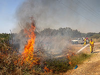 "Огненный террор": в лесу Кисуфим возникло не менее семи пожаров