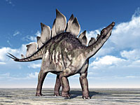 Шотландка случайно  нашла останки динозавра, жившего 166 млн лет назад