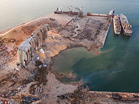 Возле порта Бейрута ливанские военные обнаружили еще 4,3 тонны аммиачной селитры