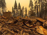Лесные пожары в США: наиболее пострадали четыре западных штата