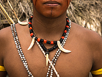 Один из ведущих экспертов по племенам Амазонии убит стрелой аборигена