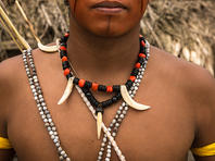 Один из ведущих экспертов по племенам Амазонии убит стрелой аборигена