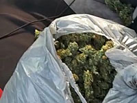 В автомобиле, прорвавшемся через "карантинный блокпост", полицейские обнаружили 10 кг марихуаны