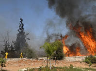 В парке Бегин возле Иерусалима вспыхнул сильный пожар