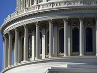 Reuters: демократы могут получить большинство в Сенате США