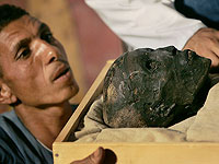 В Египте отмечают годовщину обнаружения сокровищ Тутанхамона