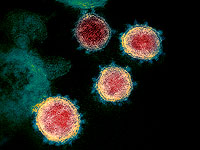 Естественное ультрафиолетовое излучение зимой не причиняет особого вреда коронавирусу