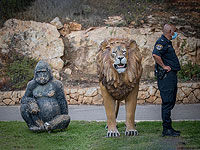 Комиссия по законодательству разрешила открыть для посетителей зоопарки и "Сафари"