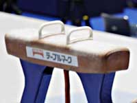 Чемпионат Европы по спортивной гимнастике. Израильский юниор завоевал серебряную медаль