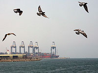 В порту Джедды атакован сингапурский танкер