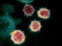 В Израиле выявлены десятки заразившихся новым "британским" штаммом коронавируса