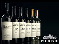 Элитные вина одной из самых знаменитых виноделен Purcari теперь и в Израиле - с доставкой на дом