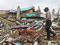 Число жертв землетрясения в Индонезии возросло до 78