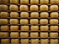 Говяжий фарш и желтый сыр по 30 шекелей за кг: опубликованы победители тендеров на беспошлинный импорт