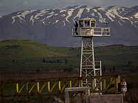 Израильские военные вернули на территорию Сирии двух "заблудившихся пастухов"
