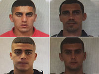 Полиция просит помощи в розыске четырех подозреваемых в избиении мужчины в Хайфе