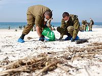 Правительство Израиля одобрило выделение 45 млн шекелей на борьбу нефтяным загрязнением пляжей