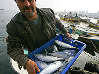 Минздрав отменил запрет на продажу рыбы, выловленной в Средиземном море