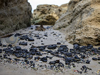 Экологическая катастрофа у побережья Израиля. Версия о разливе иранской нефти ставится под сомнение