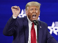 Экс-президент США Дональд Трамп