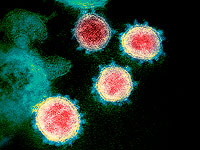 Впервые обнаружен штамм коронавируса с двойной мутацией