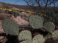 В Мексике разбился самолет, погибли шесть человек