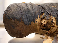 Впервые в истории обнаружена древнеегипетская мумия беременной с плодом