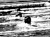 Георгий Прокопенко в "серебряном заплыве" Токийской олимпиады. Рядом легендарный австралиец Ян О`Брайен, установивший в том заплыве мировой рекорд
