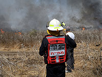 На границе с сектором Газы в нескольких точках произошло возгорание травы и кустарника