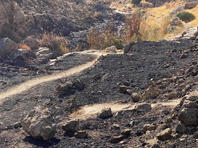 В результате пожара выгорела часть русла ручья Прат