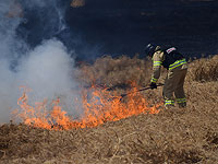 Возгорание травы и кустарника на западной окраине Иерусалима. Ведется эвакуация жителей