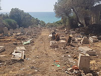 Христианское кладбище в Яффо до уборки и реконструкции