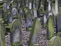 На юге Польши вандалы разрушили около 70 надгробий на еврейском кладбище XIX века