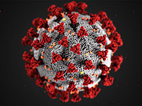 Победить коронавирусы навсегда? Ученые работают над созданием супервакцины