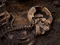 При раскопках в Латвии обнаружен древнейший носитель чумы