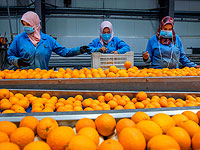 В грузе апельсинов, направлявшемся в Саудовскую Аравию, обнаружены наркотики