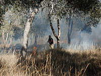 Четыре очага возгорания в лесу Беэри, недалеко от границы с Газой