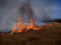 В районе Кинерета произошло возгорание сухой травы и кустарника