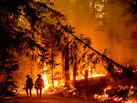 Калифорния в огне мегапожара. Фоторепортаж
