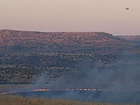 Возгорание сухой травы и кустарника произошло на границе с Иорданией