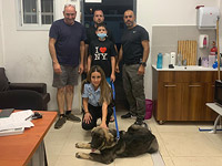 Полиция вернула законным хозяевам собаку, похищенную жителями Фурейдиса