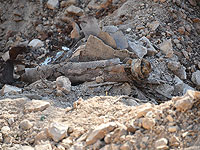Еще несколько гранат от "базуки" времен Шестидневной войны обнаружены в Иерусалиме