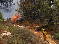 Лесной пожар около поселка Шореш, проводится эвакуация