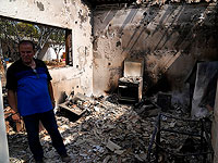 Из-за лесных пожаров к северу от Афин полностью или частично сгорели около 100 домов