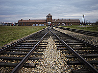 На выставке в Лондоне представлены регистрационные номера узниц Освенцима, срезанные с кожи