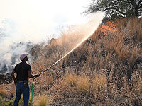 Возгорание сухого кустарника в деревне Ярка, эвакуированы жители пяти домов