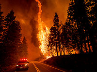 Планета горит от А до Я. Фоторепортаж с пожаров от Америки до Якутии.