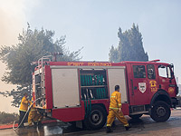Глава пожарной службы Иерусалима: "Это один из самых сильных пожаров за последние годы"