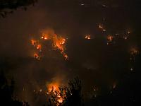 В Иерусалимских горах сгорели 17 кв. км. леса, продолжаются поиски одного пропавшего без вести